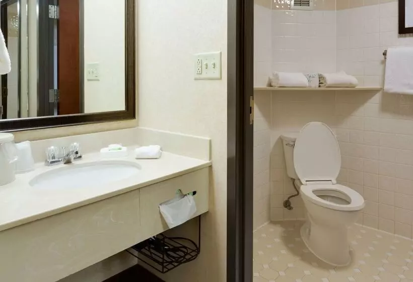 Отель Pear Tree Inn Sikeston