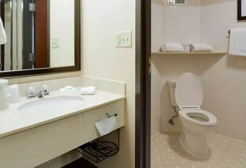 Отель Pear Tree Inn Sikeston