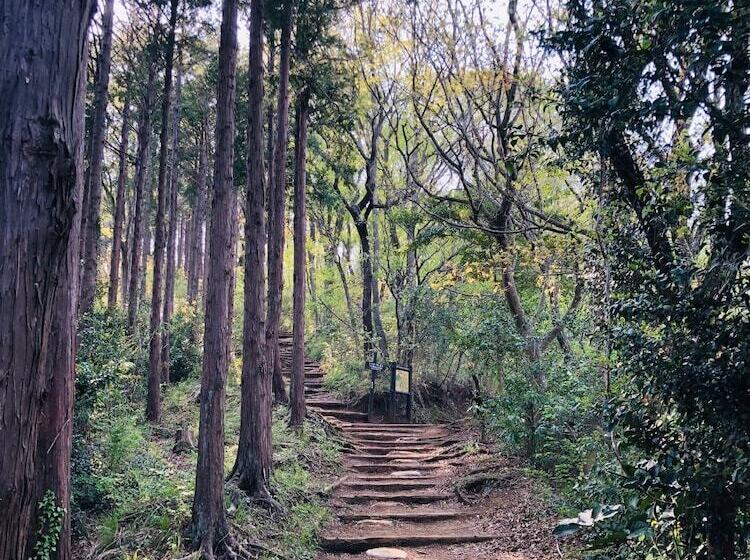 فندق Gendairakuen Isehara   Adults Only