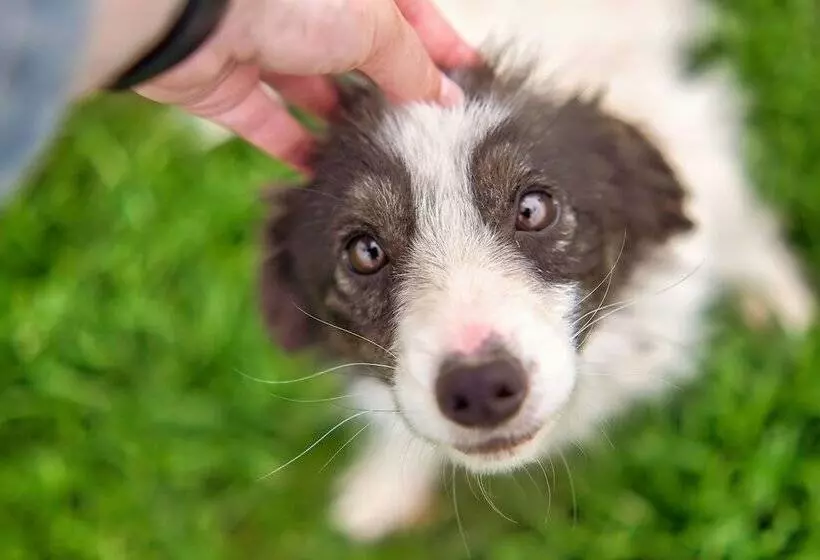 Hotelli Gendairakuen Isehara   Adults Only