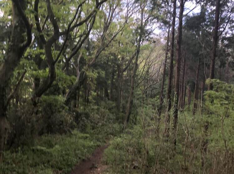 فندق Gendairakuen Isehara   Adults Only