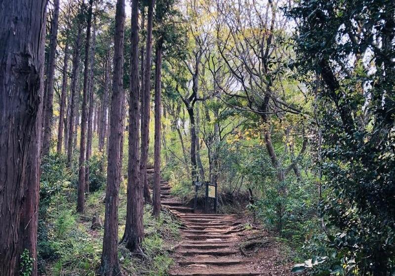 فندق Gendairakuen Isehara   Adults Only