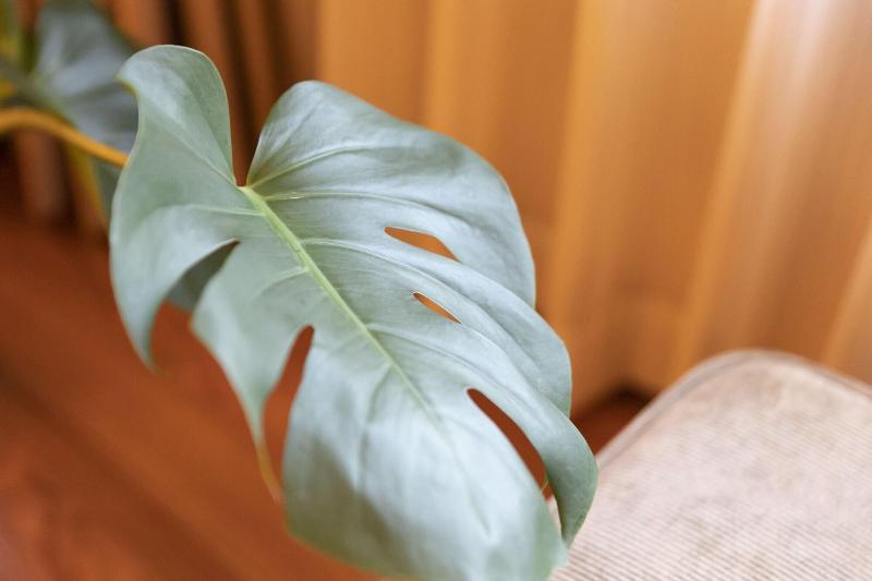 فندق Gendairakuen Isehara   Adults Only