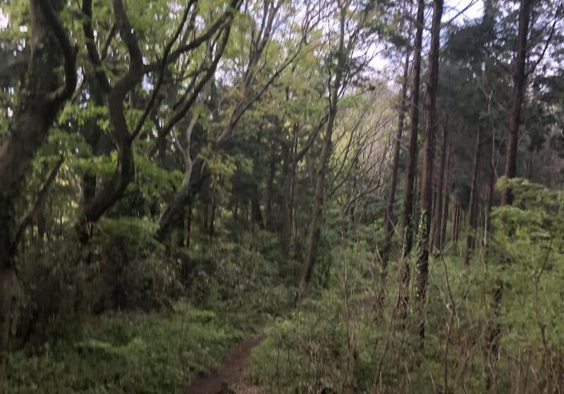 فندق Gendairakuen Isehara   Adults Only