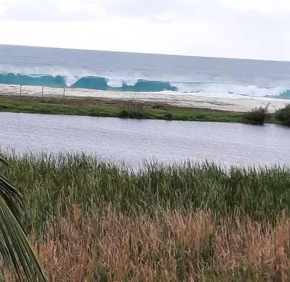 پانسیون Pousada Icthus