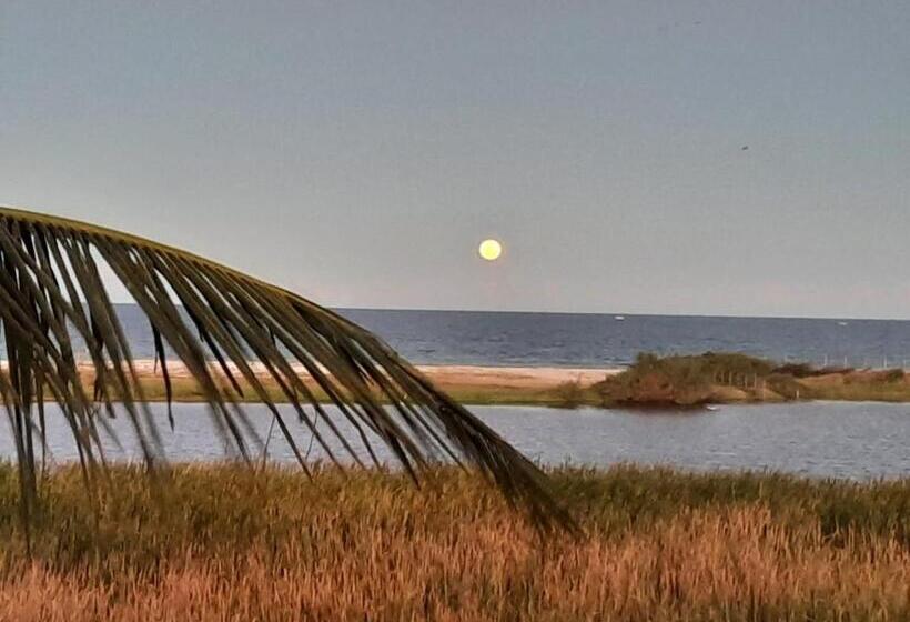 פנסיון Pousada Icthus