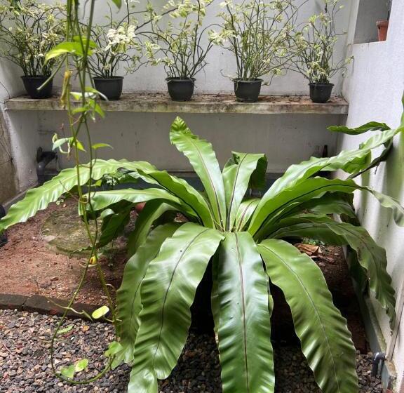 فندق Jungle Villa