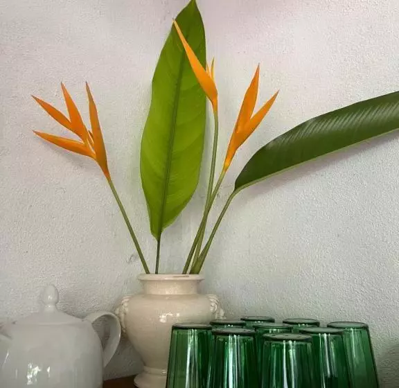 Hotelli Jungle Villa