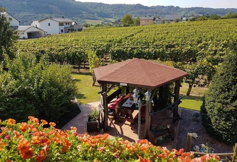 ペンション Ferienweinhaus Römer Knodt