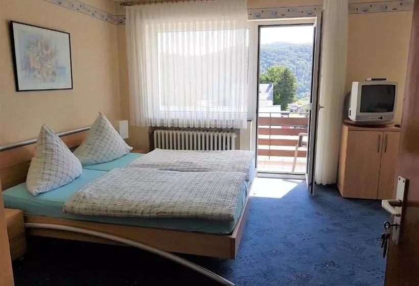 ペンション Ferienweinhaus Römer Knodt