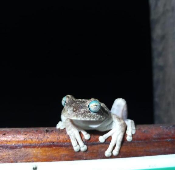 Hostel Hostal Doble Vista