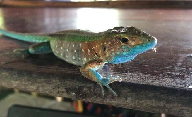 Hostel Hostal Doble Vista