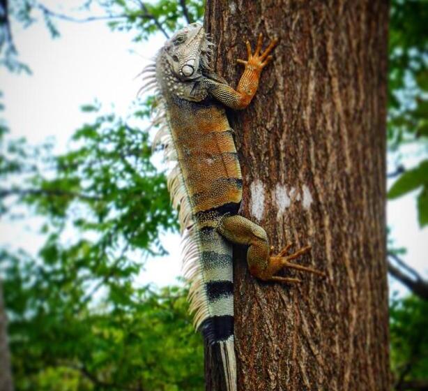 Hostel Hostal Doble Vista