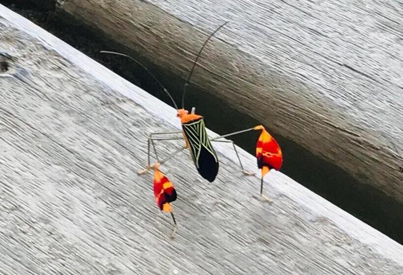 Hostel Hostal Doble Vista