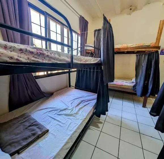 Screaming Gecko Hostel