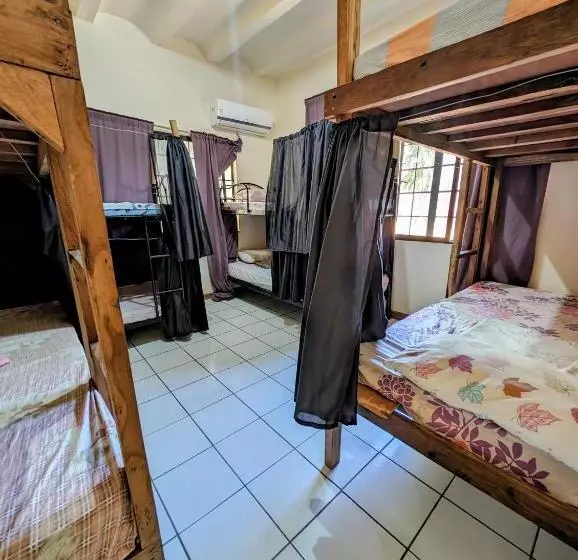 Screaming Gecko Hostel