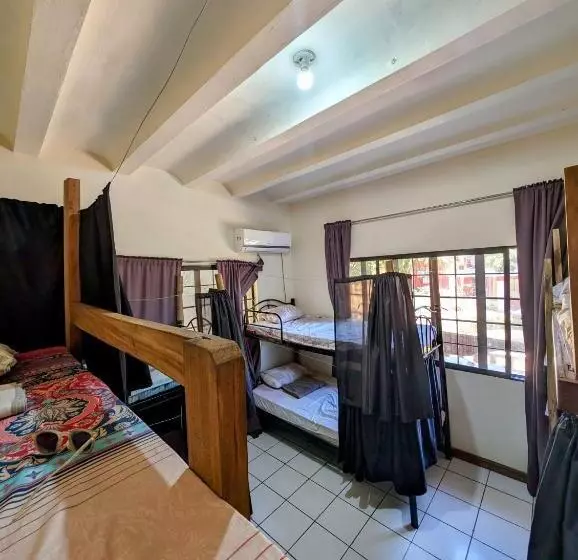 Screaming Gecko Hostel