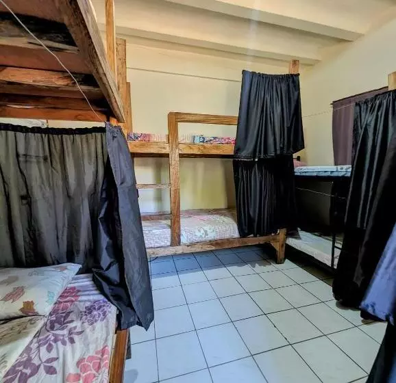 Screaming Gecko Hostel