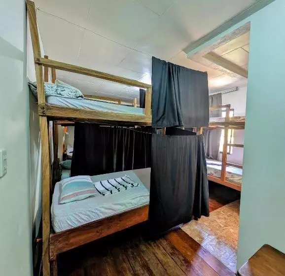 Screaming Gecko Hostel