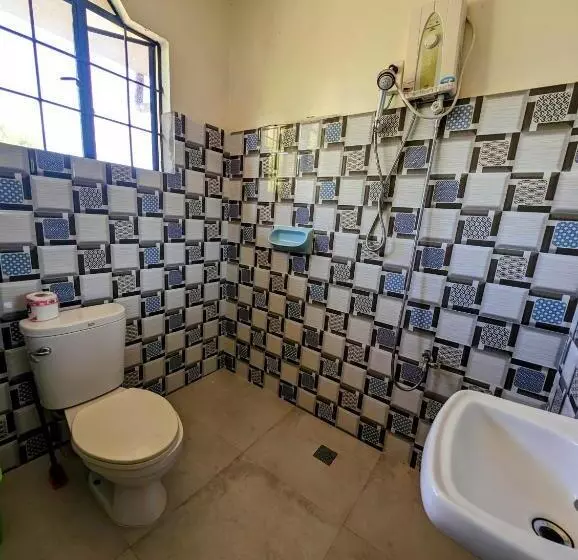 Screaming Gecko Hostel