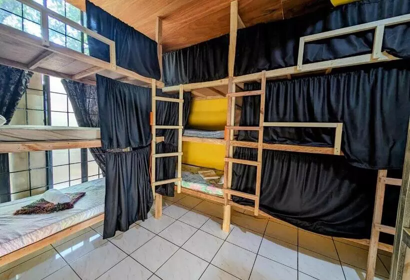 Screaming Gecko Hostel