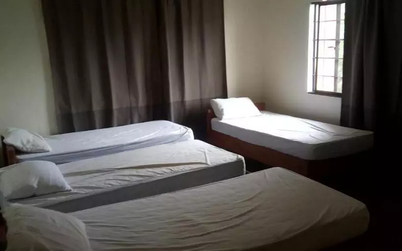 Screaming Gecko Hostel