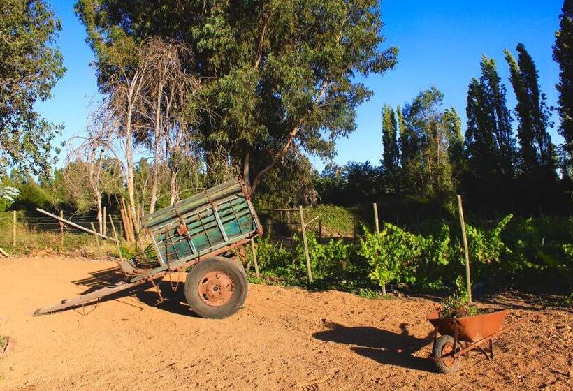 هتل Boutique Raíces De Colchagua