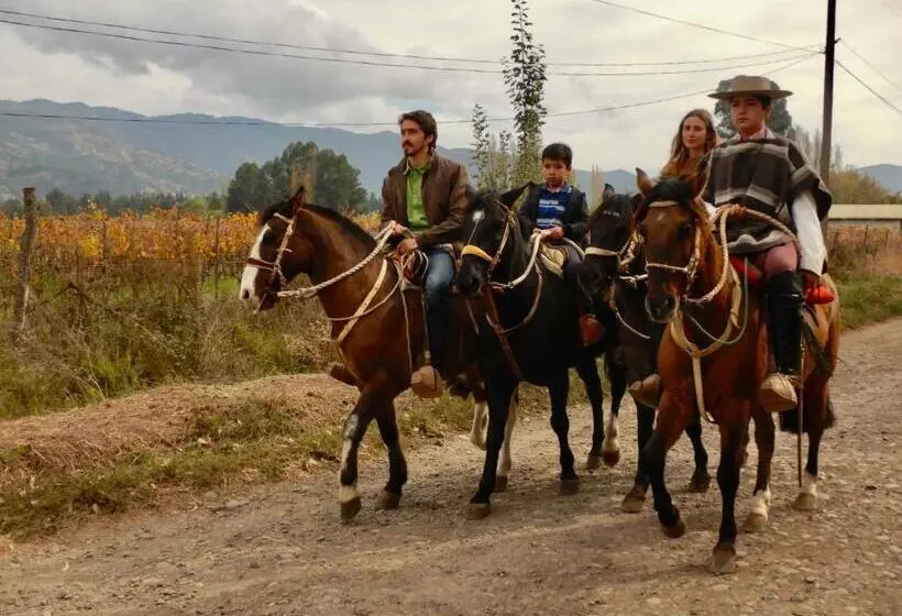 Hotelli Boutique Raíces De Colchagua