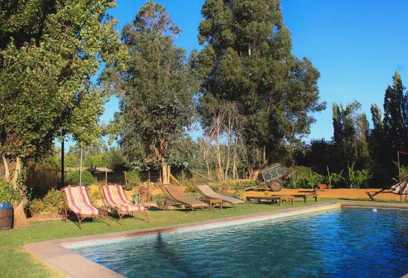 Hotelli Boutique Raíces De Colchagua