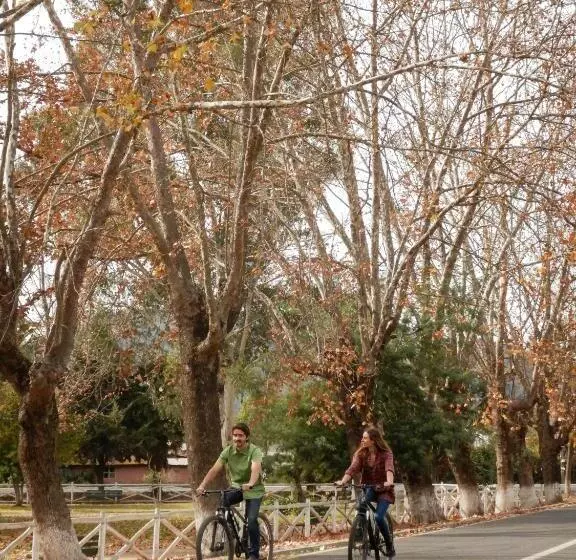 Hotelli Boutique Raíces De Colchagua