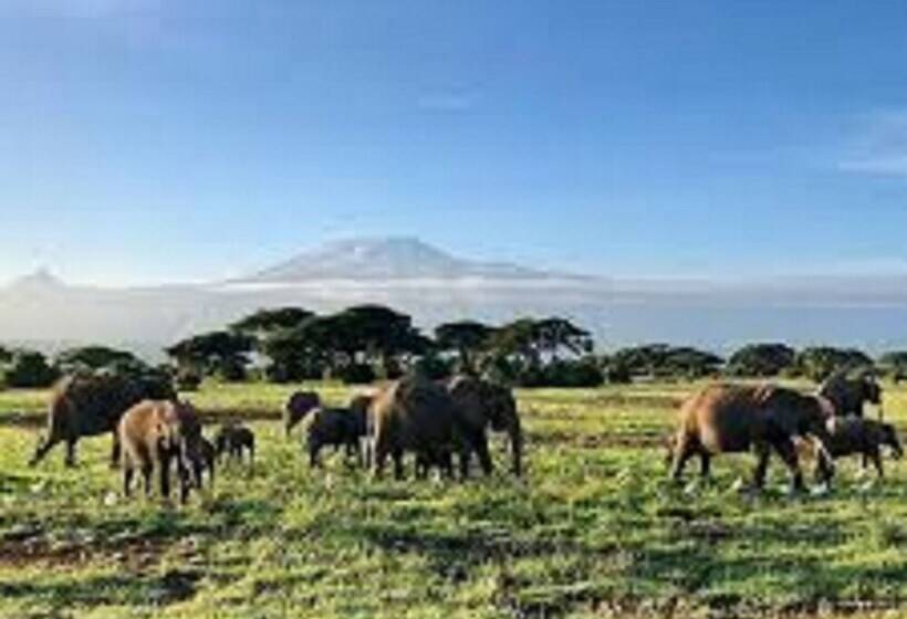 هتل Mara Topi Safari Lodge