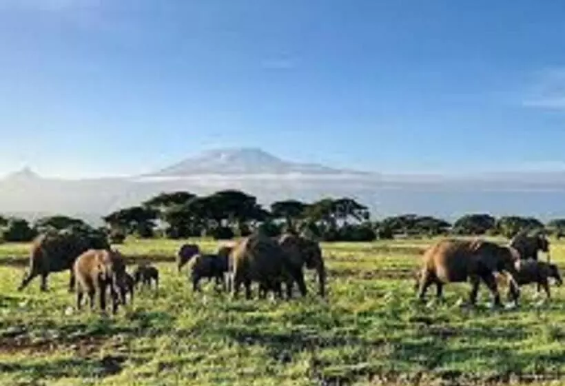 هتل Mara Topi Safari Lodge