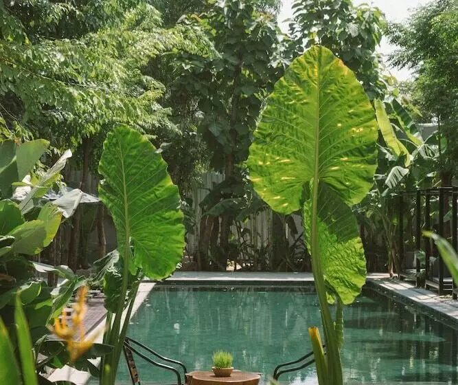 Larimar Hotel & Resort