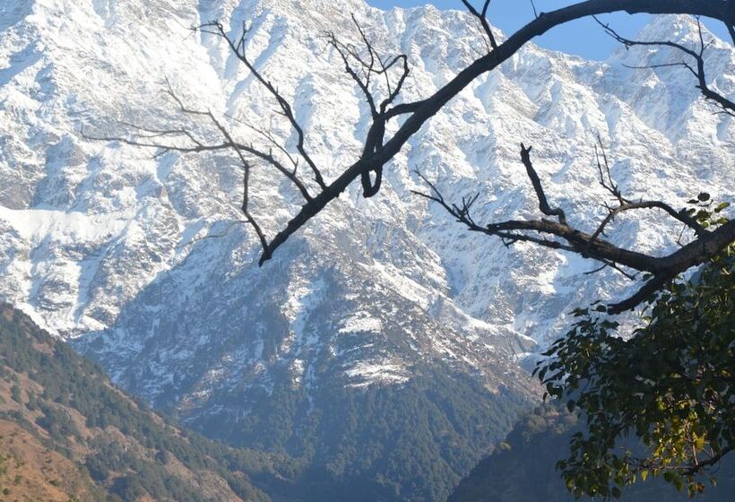 هتل Royal Green Buds