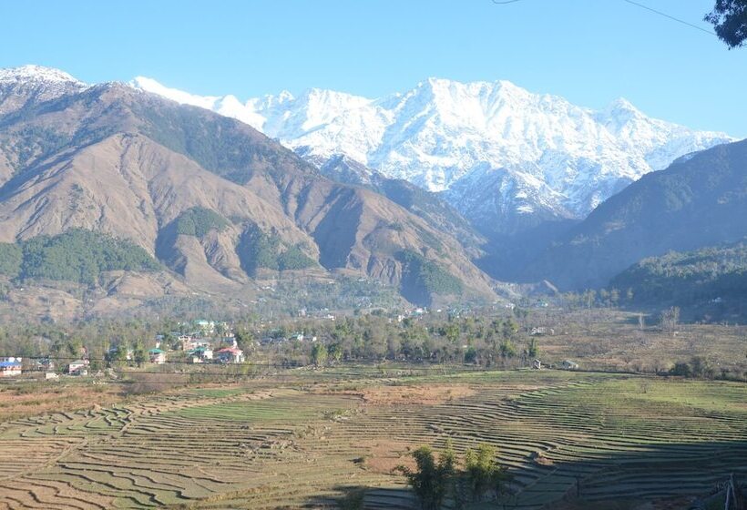 هتل Royal Green Buds