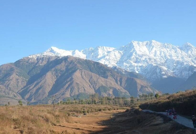 هتل Royal Green Buds