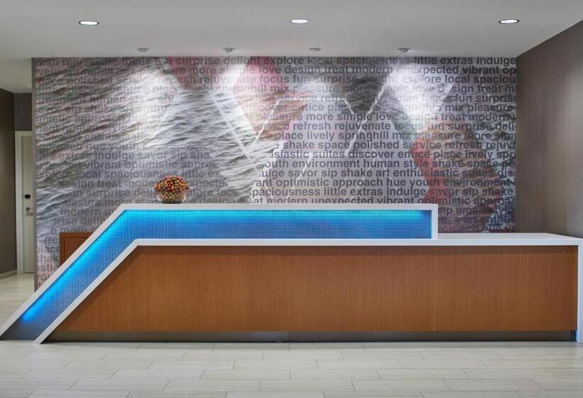 هتل Springhill Suites Charlotte At Carowinds