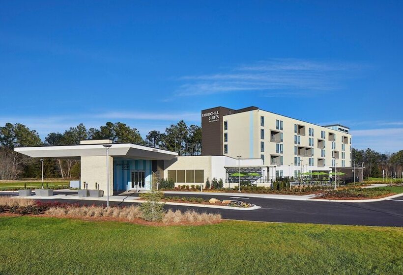 هتل Springhill Suites Charlotte At Carowinds