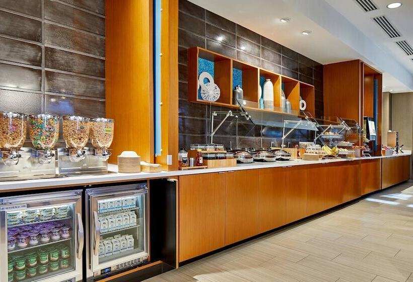 هتل Springhill Suites Charlotte At Carowinds