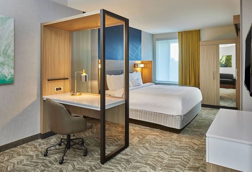 هتل Springhill Suites Charlotte At Carowinds