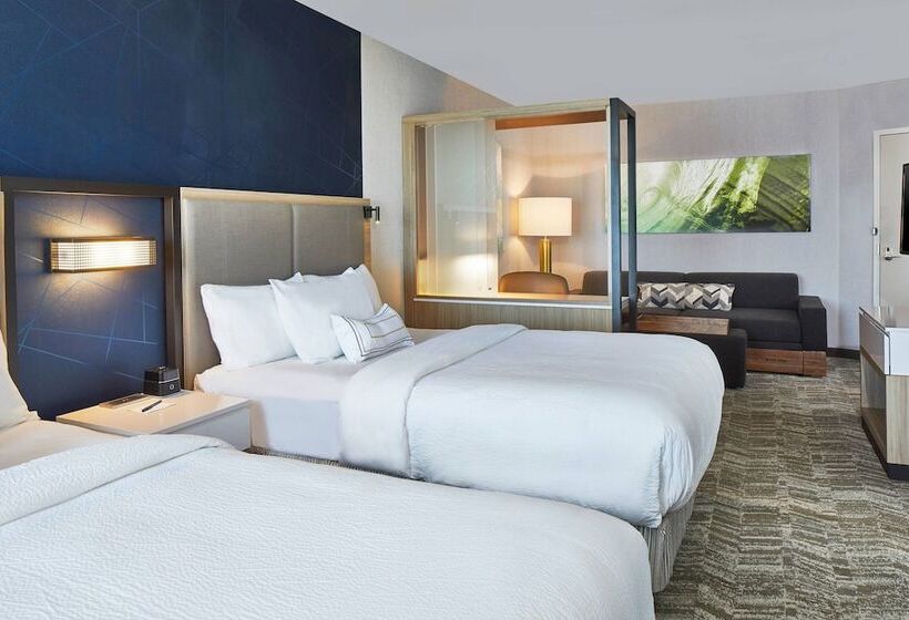 هتل Springhill Suites Charlotte At Carowinds