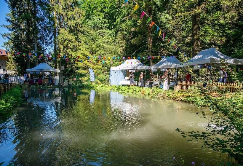 بنسيون Sanskriti