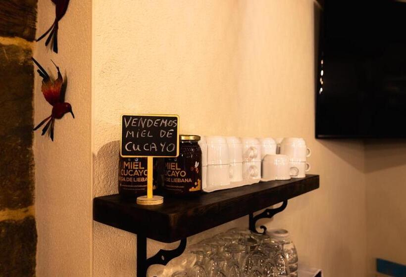 هاستل Posada Villa Matilde