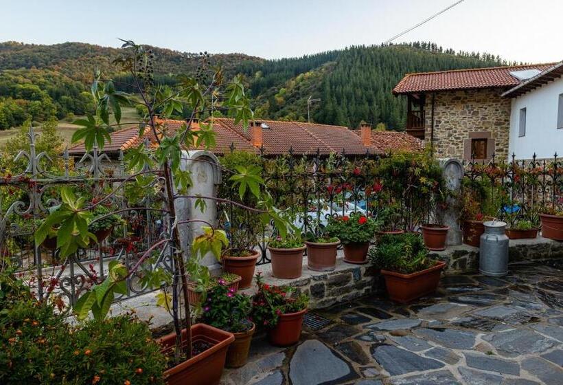 هاستل Posada Villa Matilde