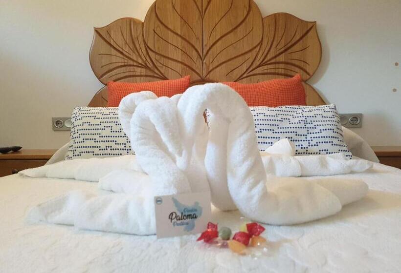 Pension Paloma   Oiartzun