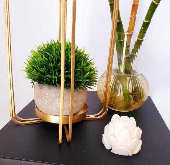 Pension Paloma   Oiartzun