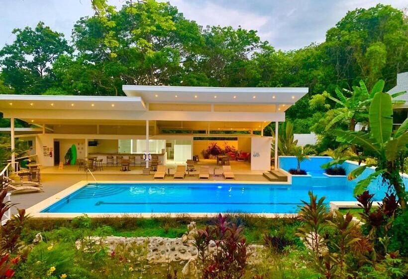 Aves Hotel Montezuma