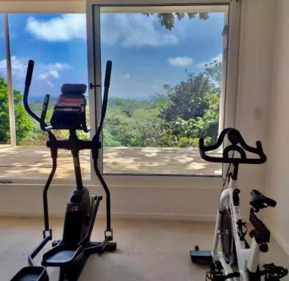 Aves Hotel Montezuma