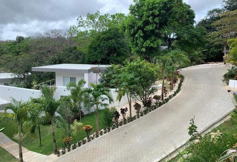 Aves Hotel Montezuma