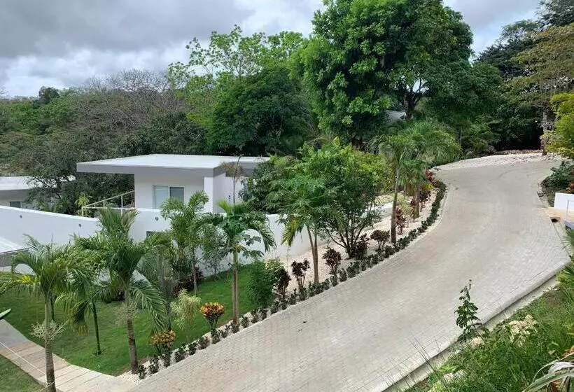 Aves Hotel Montezuma